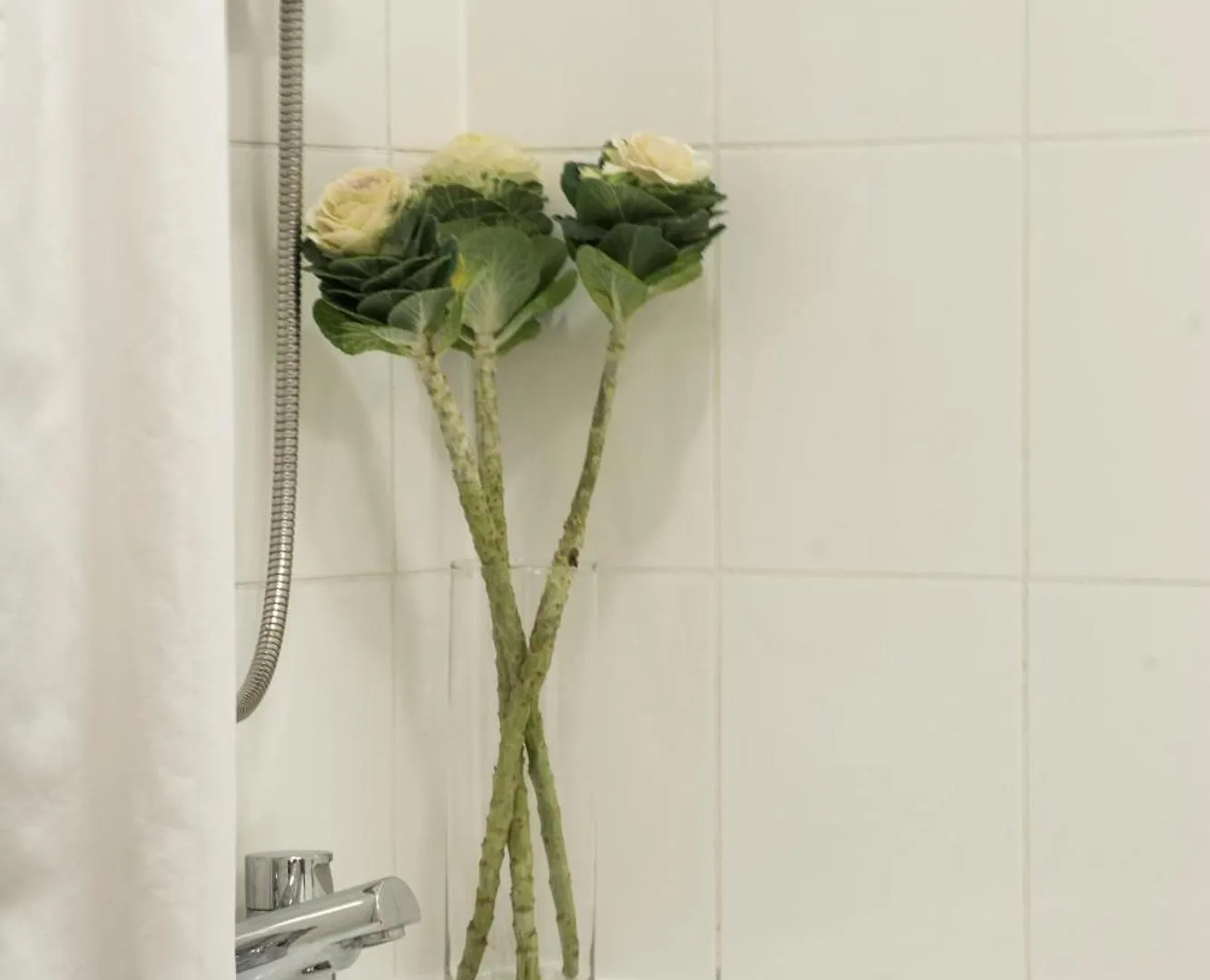 *** Guest house Amherst Brighton United Kingdom